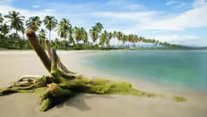 Magnificent Nature View