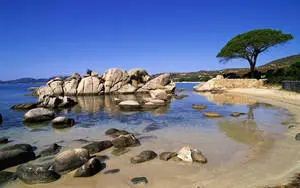 Captivating Palombaggia Beach in Full HD