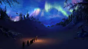 Enjoy the beauty of winter