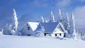 Admiring Winter Scene of the Alps