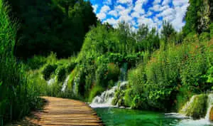 plitvice lakes, croatia, nature, waterfalls, wood, nature, hd wallpaper