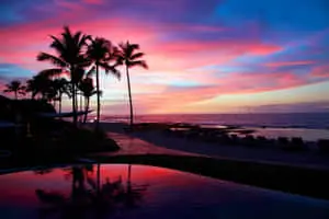 Vibrant Hues of Nature