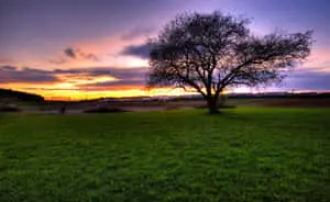 Breathtaking 4K HDR Landscape