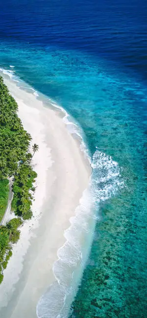 4K iPhone Long Beach Coastline Aerial View