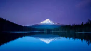  Caption: Majestic Landscape illuminated in 4K Ultra HD 