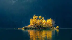 A Panoramic View of Nature's Beauty 