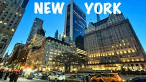 Explore New York in all its glory