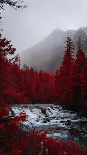 A Stunning Blue and White Landscape