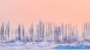A serene winter landscape
