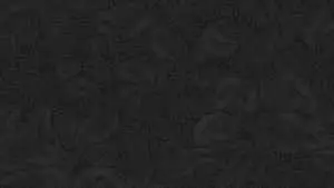 Abstract Black Topographic Map Pattern