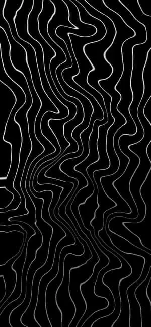 Abstract Blackand White Topography