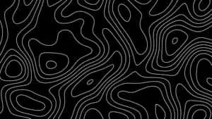 Abstract Topographic Lines4 K B W