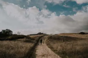 Alone Man In A Grassland Path