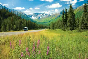 Anchorage Alaska Green Field And Mountains Picture 