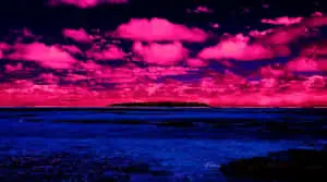 Anime Beach Background