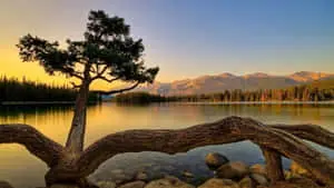 Majestic Mountain Vista