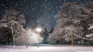 Backdrop For 1920x1080 Winter Desktop
