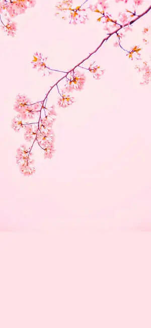 Enjoy the Beauty of Nature