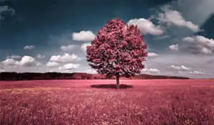 Experience the beauty of nature in this remarkable landscape.