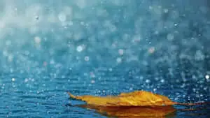 Mesmerizing Nature Landscape HD