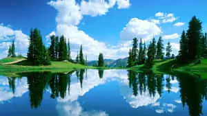 Captivating Scenic Landscape in High Definition