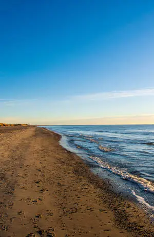 Beautiful IPhone Shoreline