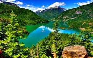 Beautiful Landscape Forest Lake