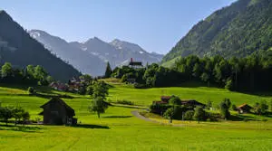 Beautiful Landscape Houses On Grassland