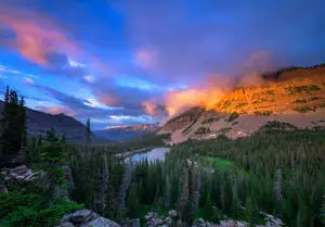 Beautiful Landscape Mountain With Pine Trees