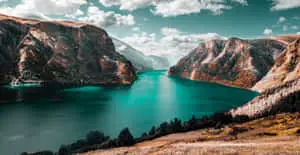Enjoy the Beauty of Nature