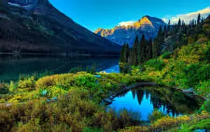 "Bask in Nature's Wonders"