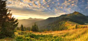 A glimpse of the beauty of nature