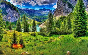 Beautiful Landscape Roadside Trees