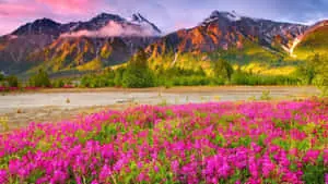 Majestic Mountain Landscape