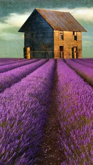 Captivating Nature Painting