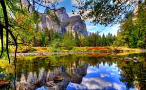 Enjoy the beauty of nature's paradise 