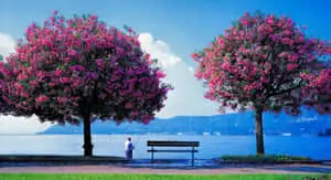 Explore the breathtaking beauty of one of nature's most gorgeous places