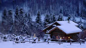 Enjoying the beauty of the winter season