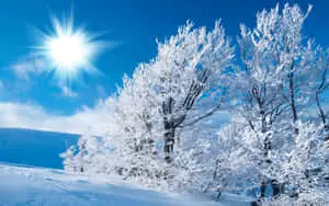 Beautiful Winter Background