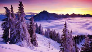 Beautiful Winter Background