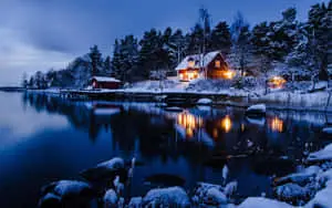 Beautiful Winter Background