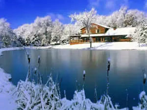 Beautiful Winter Background