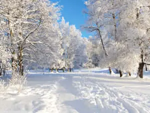 Beautiful Winter Background