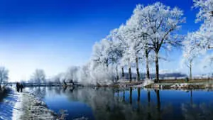 Beautiful Winter Background