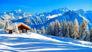 Beautiful Winter Background