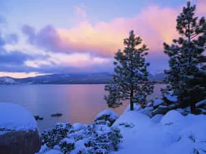 Beautiful Winter Background