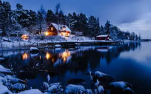 Beautiful Winter Background