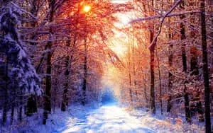 Beautiful Winter Background
