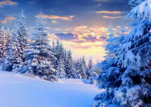 Beautiful Winter Background