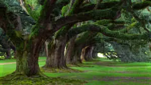 Stunning Nature Landscape in High Definition